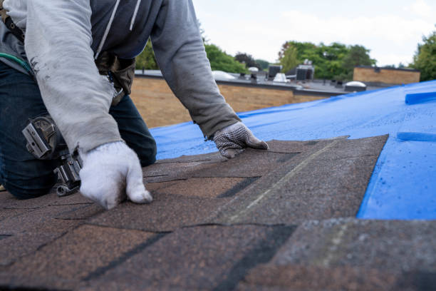 Quick and Trustworthy Emergency Roof Repair Services in Mobile, AL